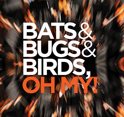 Marin Symphony Pops: Bats & Bugs & Birds, Oh My!